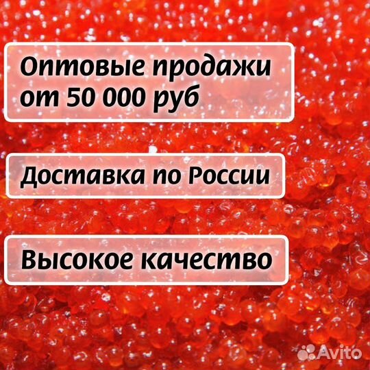 Икра красная кеты опт