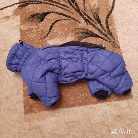 Одежда для маленьких собак