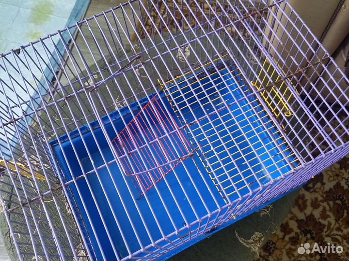 Клетка для крыс