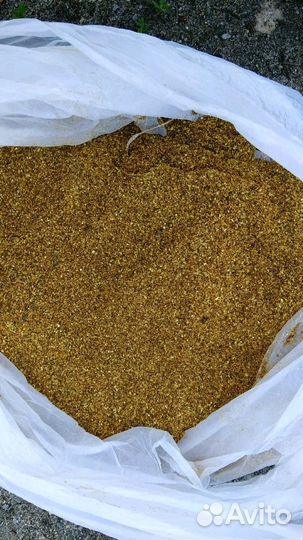 Барда кукурузная, пшеничная