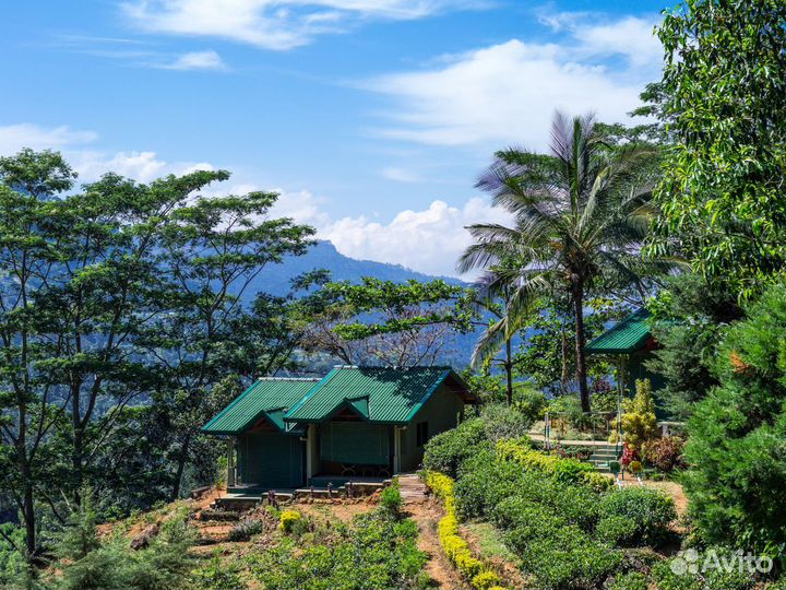 Relax тур на Sri-Lanka от 7 ночей за двоих человек