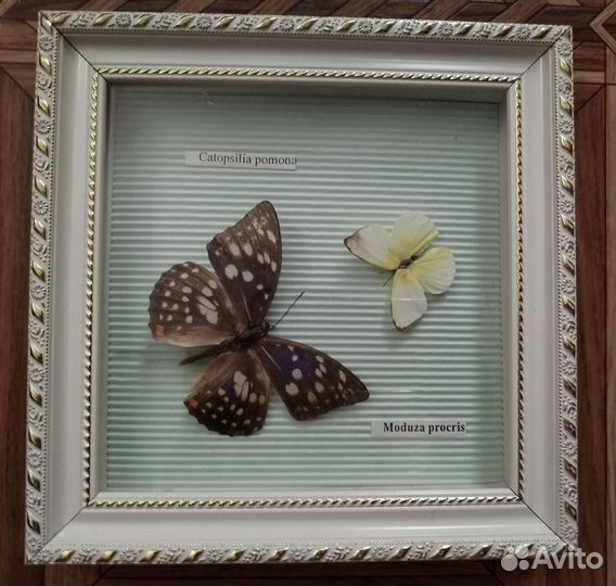 Декор-бабочки