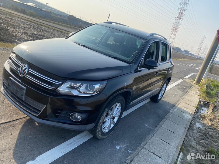 Volkswagen tiguan В разбор