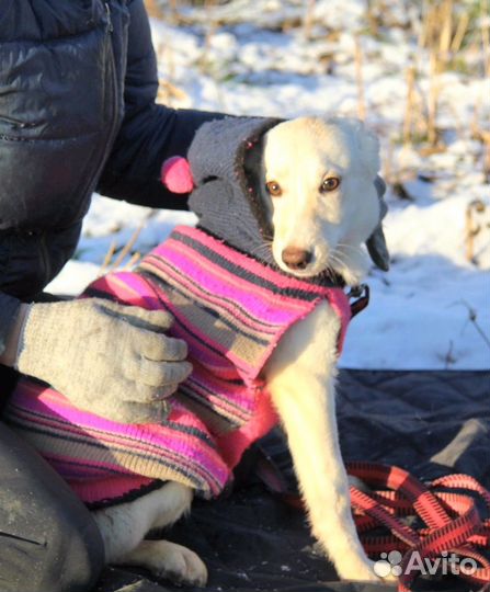 Сказочной принцессе очень нужен дом