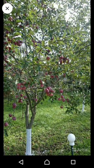 Дом 83,9 м² на участке 18 сот.