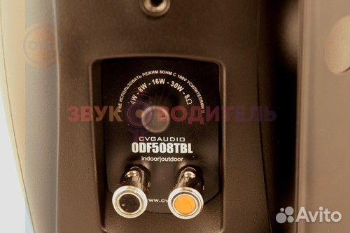 Настенная двухполосная акустика для ресторана