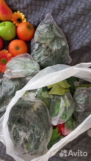 Муляжи фруктов и овощей + целый пакет залени