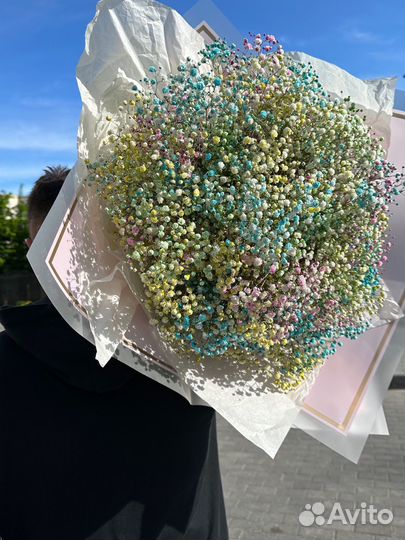 Радужная гипсофила. Доставка цветов Калининград