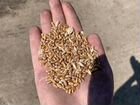 Пшеница, ячмень, кукуруза, овес, зерносмесь объявление продам