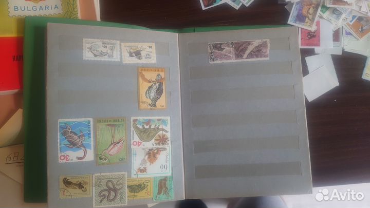 Почтовые марки мира