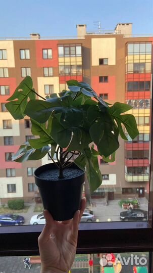 Икеа фейка монстера