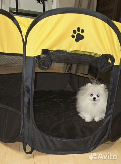 Манеж для собак б/у