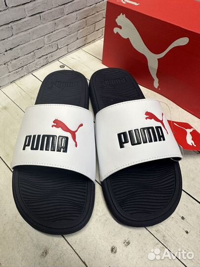 Шлепанцы puma Cool Cat 2.0