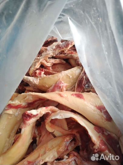 Жилка очищенная.становая.на переработку