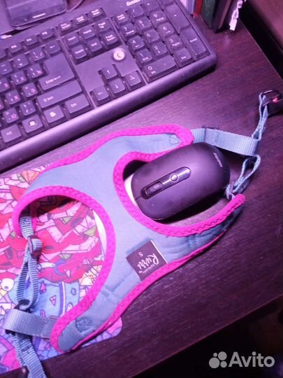 Шлейка для средней собаки