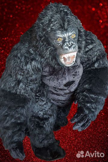 Поздравление от Кинг Конга