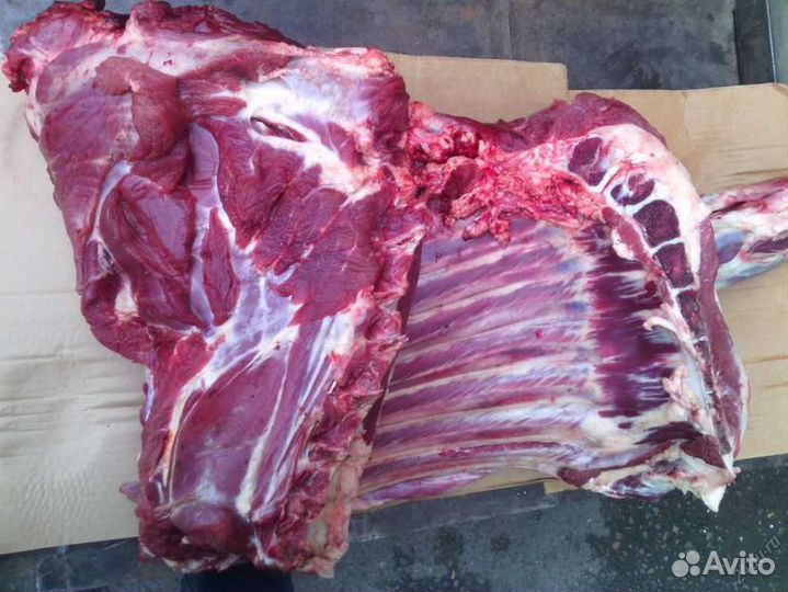 Мясо косули