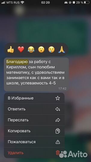 Репетитор младших классов. Русский/математика