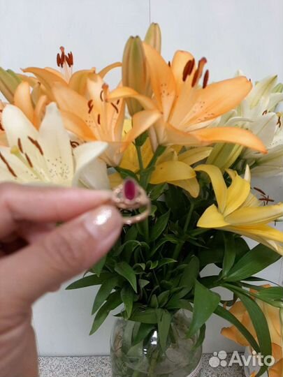 Золотое кольцо