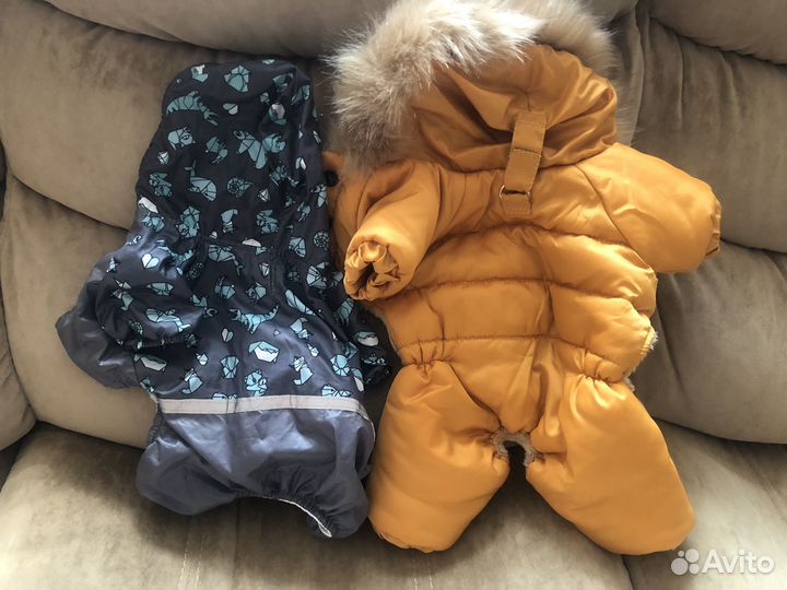 Одежда для собак