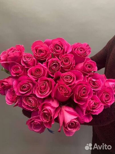 Крупноголовая Роза эквадор. Букет роз 25,51,101