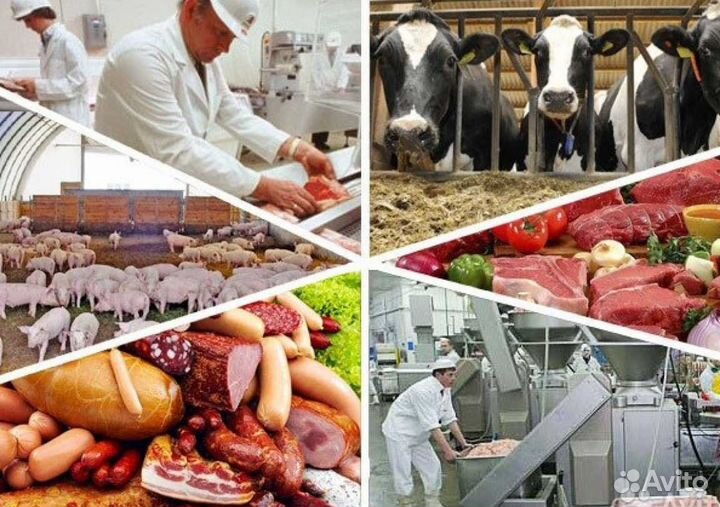 Вахта с проживанием. Рабочие