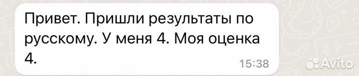 Репетитор по русскому языку. Подготовка к огэ, егэ