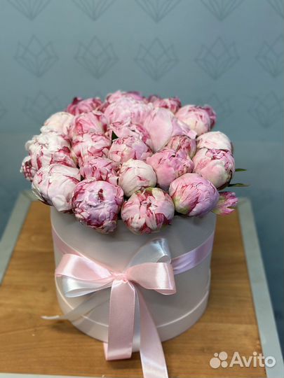 Цветы пионы и букеты с доставкой