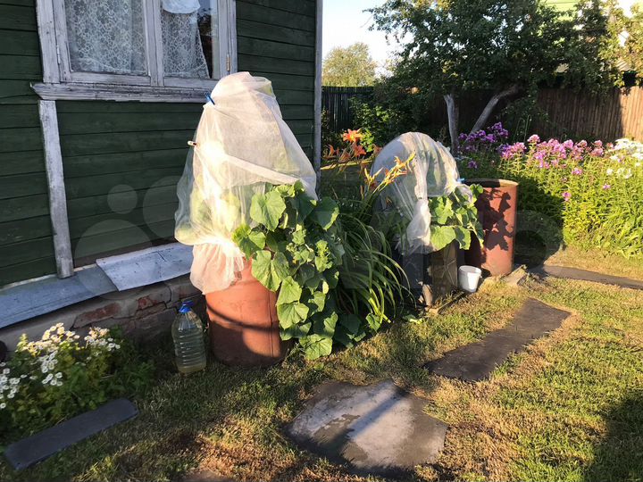 Дача 95 м² на участке 3,6 сот.