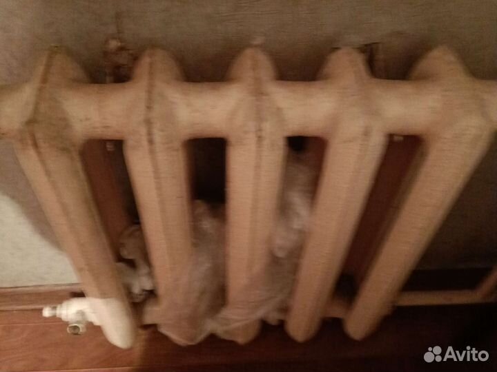 Уборка,не нужного хлама(бесплатно)