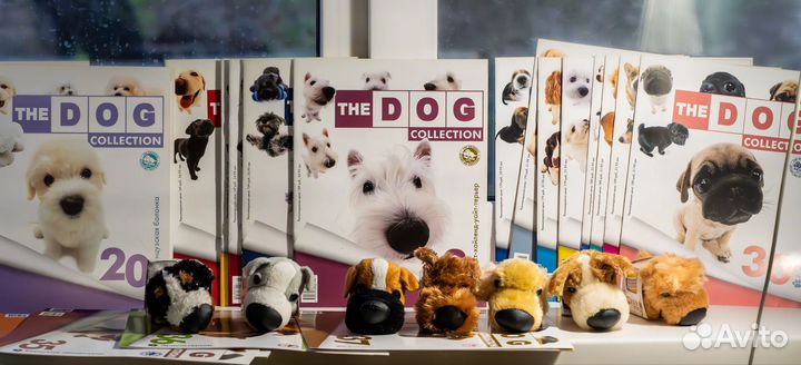 The dog collection собаки коллекция