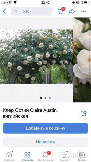 Чарльз Остин,Пэт Остин,Клер Остин и др