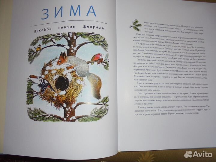 В лесу Зима весна лето осень Мелик-Пашаев 2021