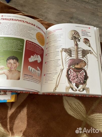 Детская энциклопедия,словарь