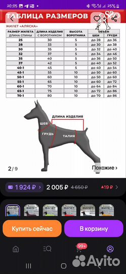 Жилет и миска для собаки