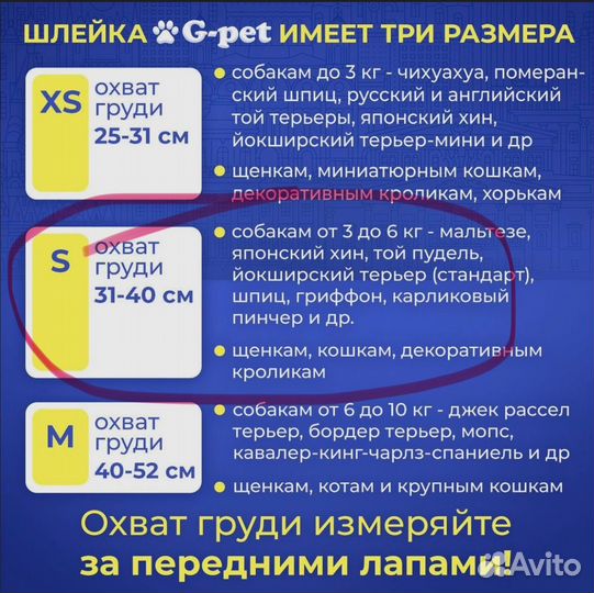 Шлейка для маленькой собаки