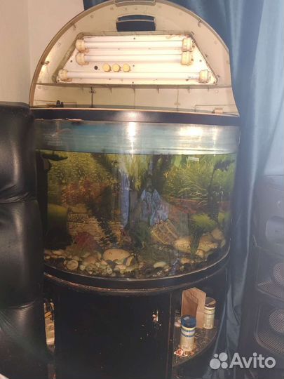 Аквариум