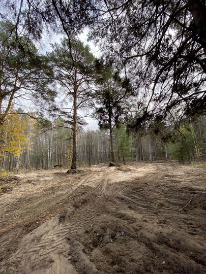 Участок 8,9 сот. (ИЖС)