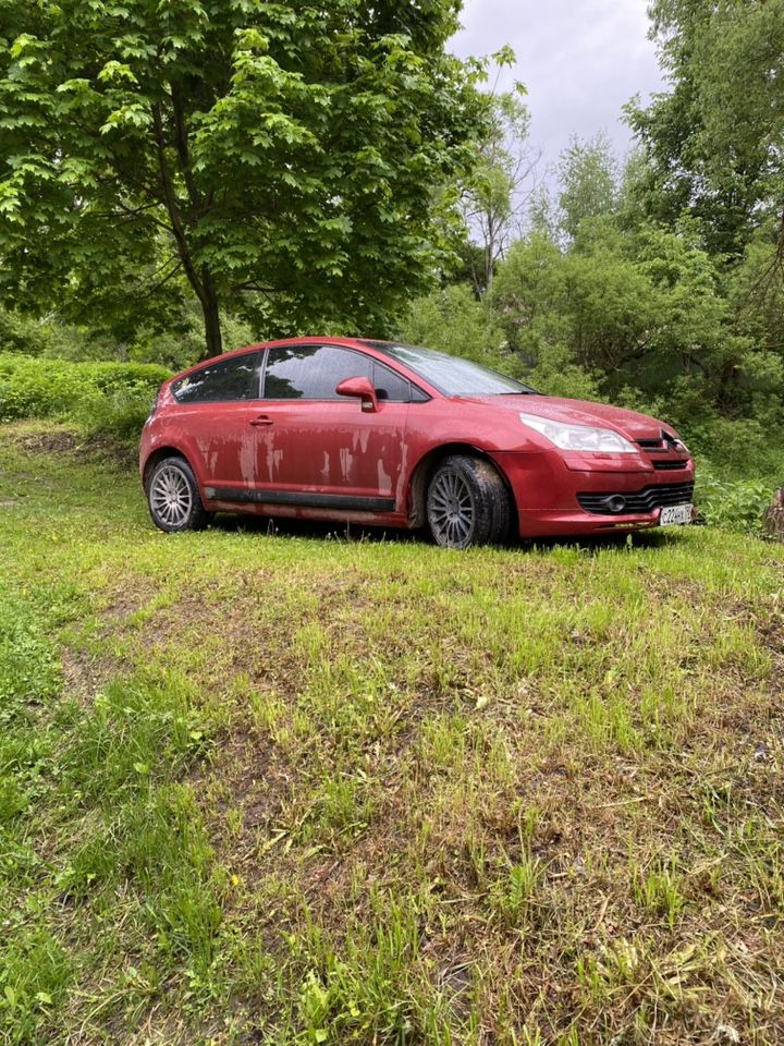 Citroen C4: фото владельца
