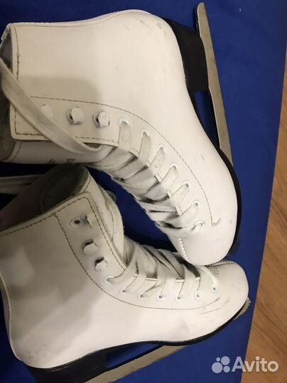 Коньки фигурные граф монтана