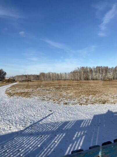 Дом 95 м² на участке 50 сот.