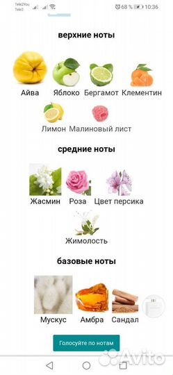 Аромат Incognito женский