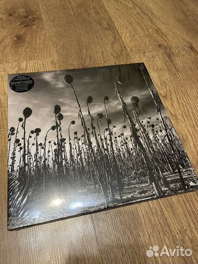 Dead Can Dance 
