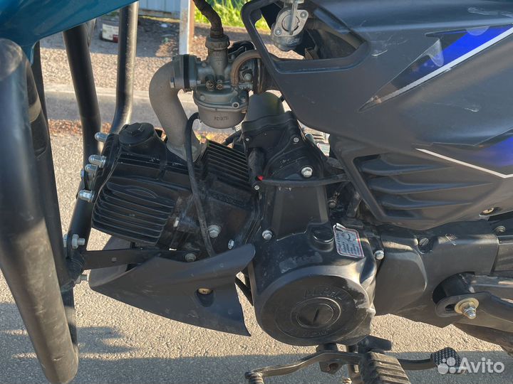 Alpha sport 2021
