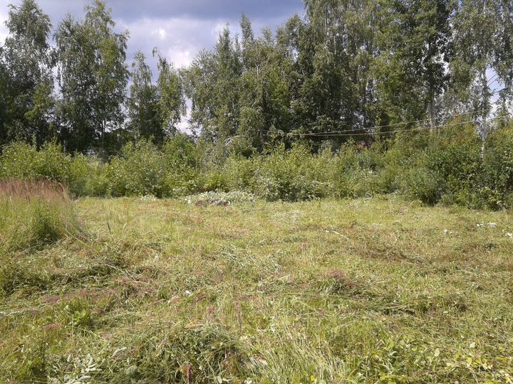 Участок 9 сот. (СНТ, ДНП)