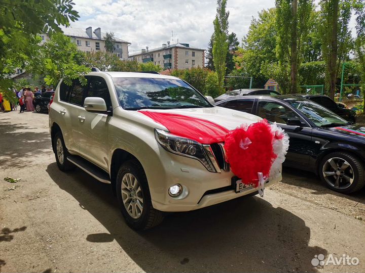 Прокат с водителем, перевозки