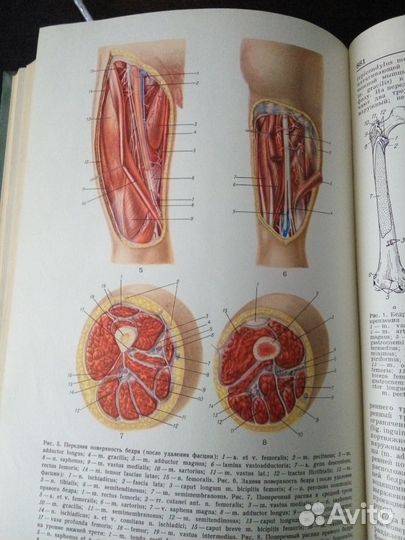 Малая медицинская энциклопедия в 10 томах