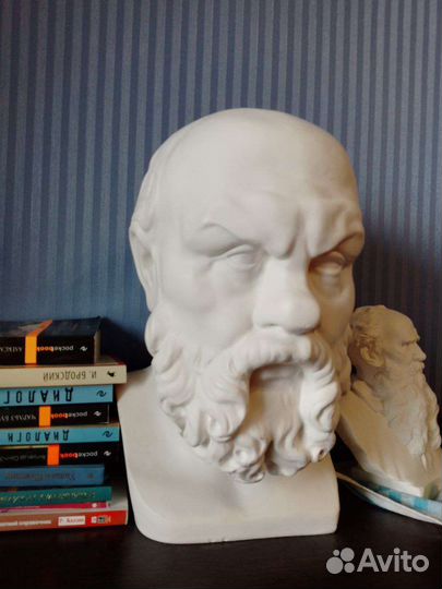 Бюст Сократа. Гипсовая голова 40 см