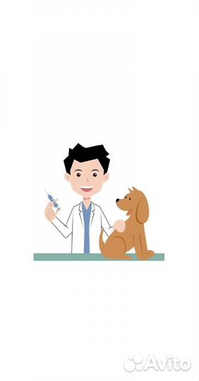 Ветеринарный врач на дом круглосуточно