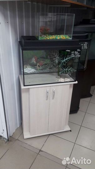Аквариумы